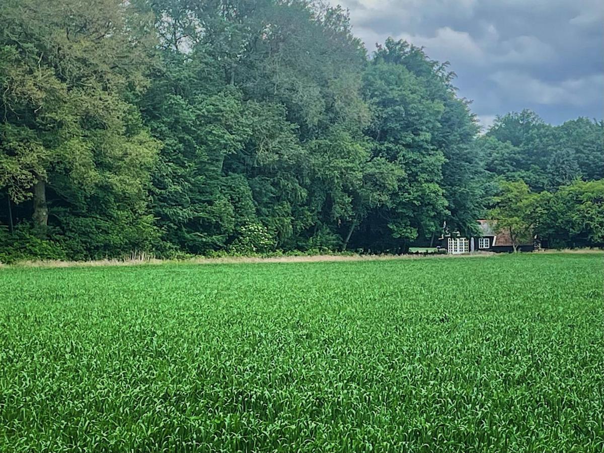 Natuurhuisje - Gastenverblijf De Kleine Hazerij Wijhe Zewnętrze zdjęcie